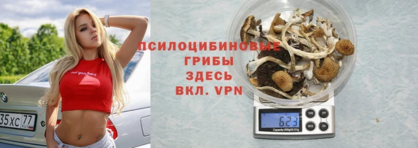 СК Медвежьегорск