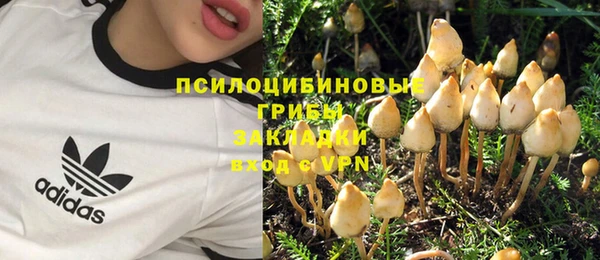 СК Медвежьегорск