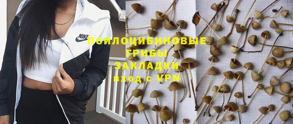 эйфоретик Медногорск