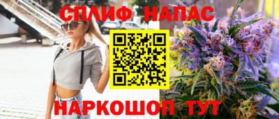 гашик Бийск