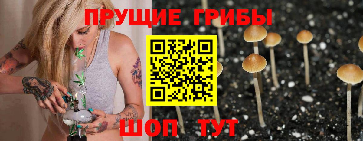 Галлюциногенные грибы Magic Shrooms  где купить наркотик  Шатура  Псилоцибиновые грибы мицелий  Вход с VPN 